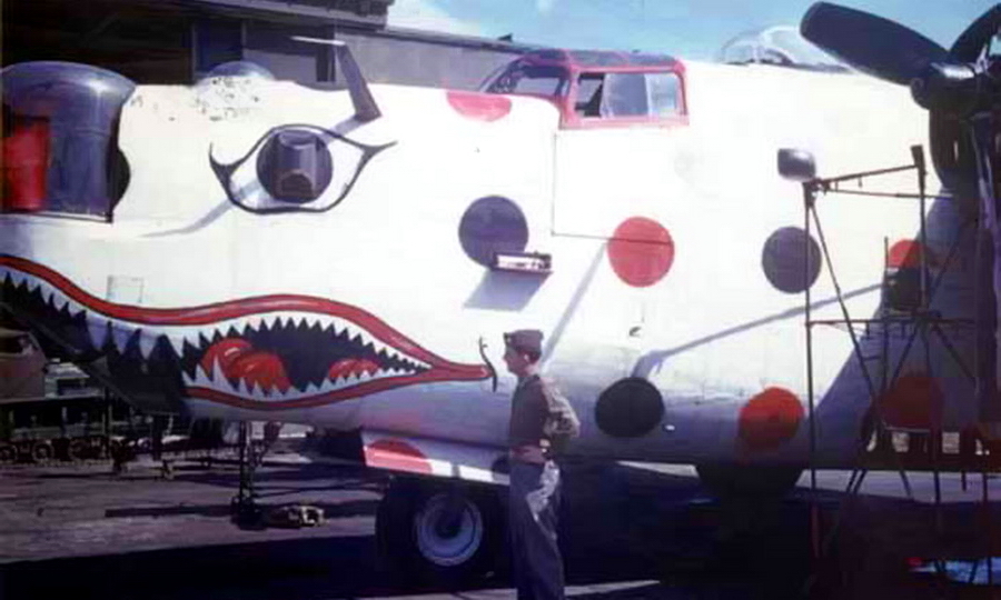 ​The nose of the «Spotted Ass Ape." Another nickname for this aircraft was “Wonderbread”. Under this brand name on the US market first appeared the type of bread that we are all familiar with now – cut in slices. Its packaging was covered with multi-colored dots - Highlights for Warspot: Judas goats and polka dot | Warspot.net