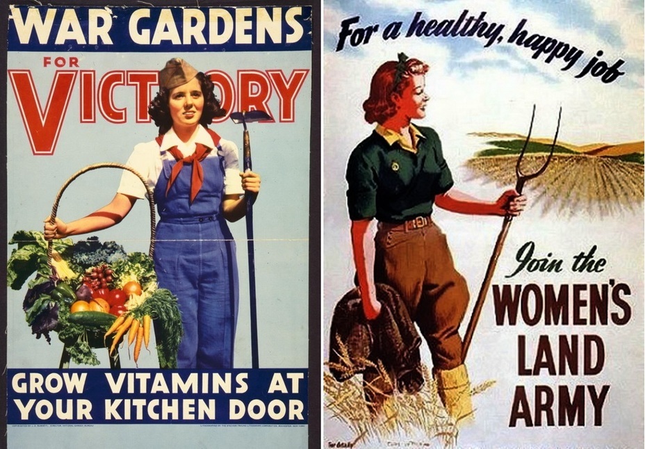 ​Furthermore, vegetables grown literally outside the door of your own kitchen is a vitamin treasure, and cultivating them is a spring of happiness and well-being. Such posters were designed mostly for women. - Highlights for Warspot: fish is the best meat | Warspot.net