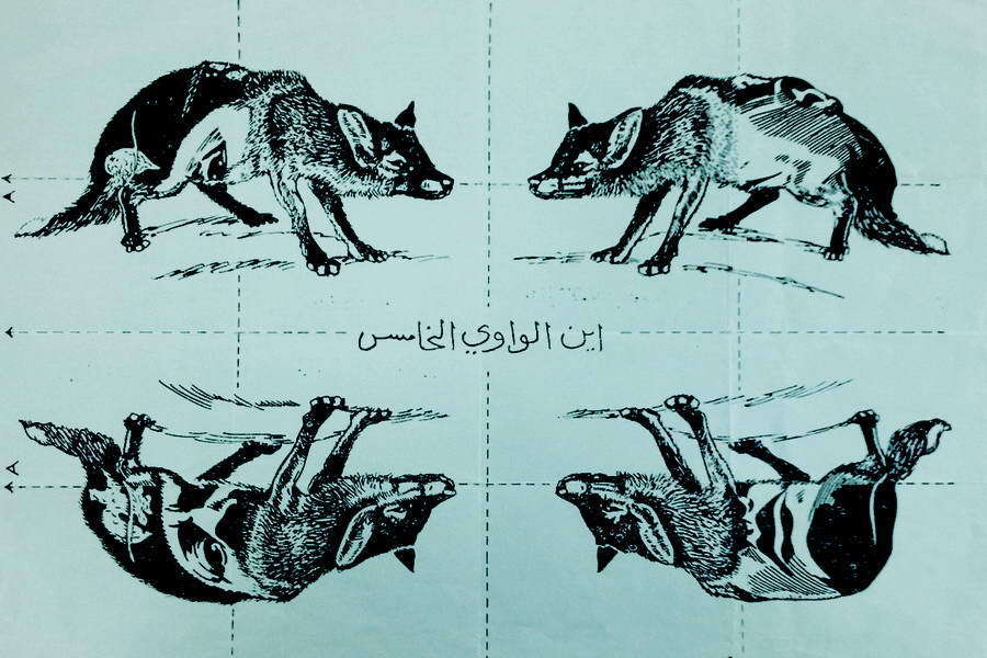 ​Two pictures above were being distributed by the British Embassy in Iraq, where pro-German and pro-Italian sympathies were very widespread. They depict a pig and a jackal, which are considered unclean by Muslims. Hitler and Mussolini could be made up of the parts of such a leaflet - Highlights for Warspot: The fifth pig — from Hitler to Trump | Warspot.net