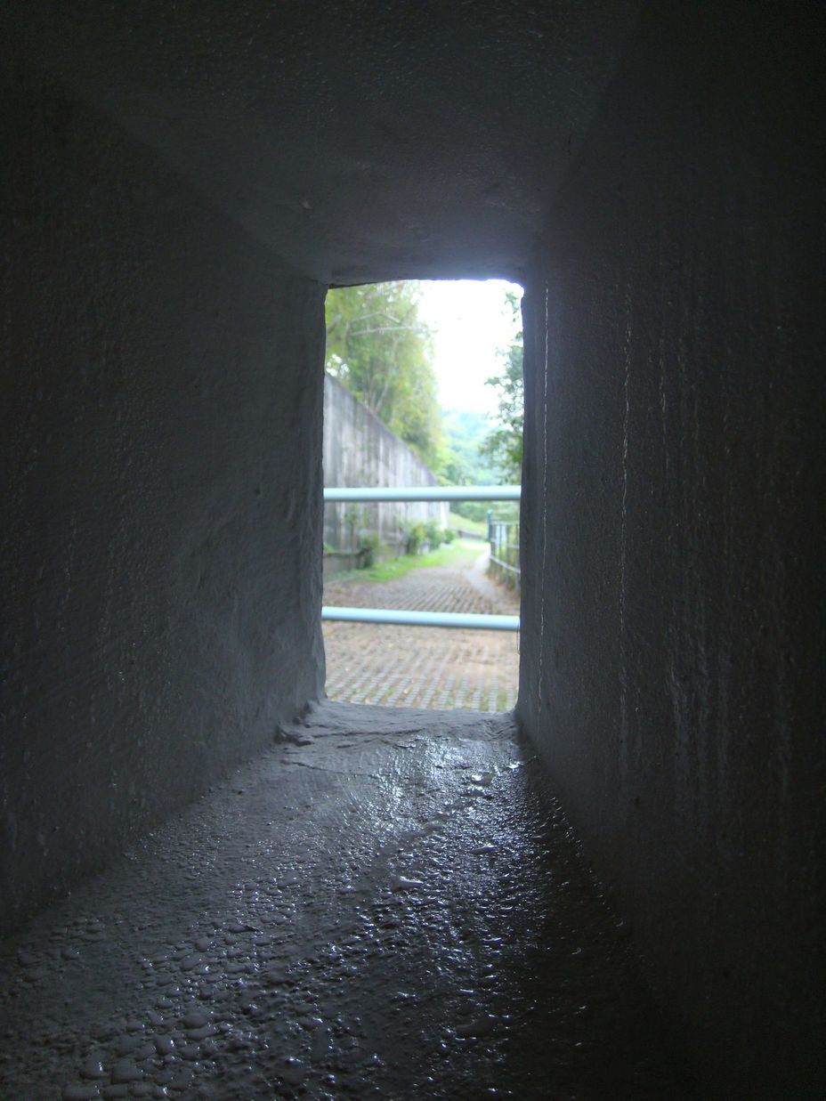 ​View from the embrasure of the casemate to the moat of the fort. Photo by the author - Forgotten Guardian of Hong Kong | Warspot.net