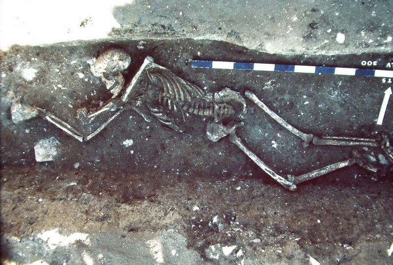 ​Victim of the plague thrown into a demolition trench of a Gallo-Roman house. Lunel-Viel, Southern France, end of the 6th-early 7th century. shh.mpg.de - Plague and the End of Antiquity | Warspot.net